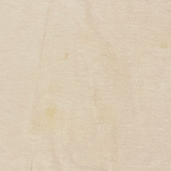 Vintage Fruit of the Loom Single Stitch Sunny Florida Orange Large White T-Shirt - Picture 13 of 16